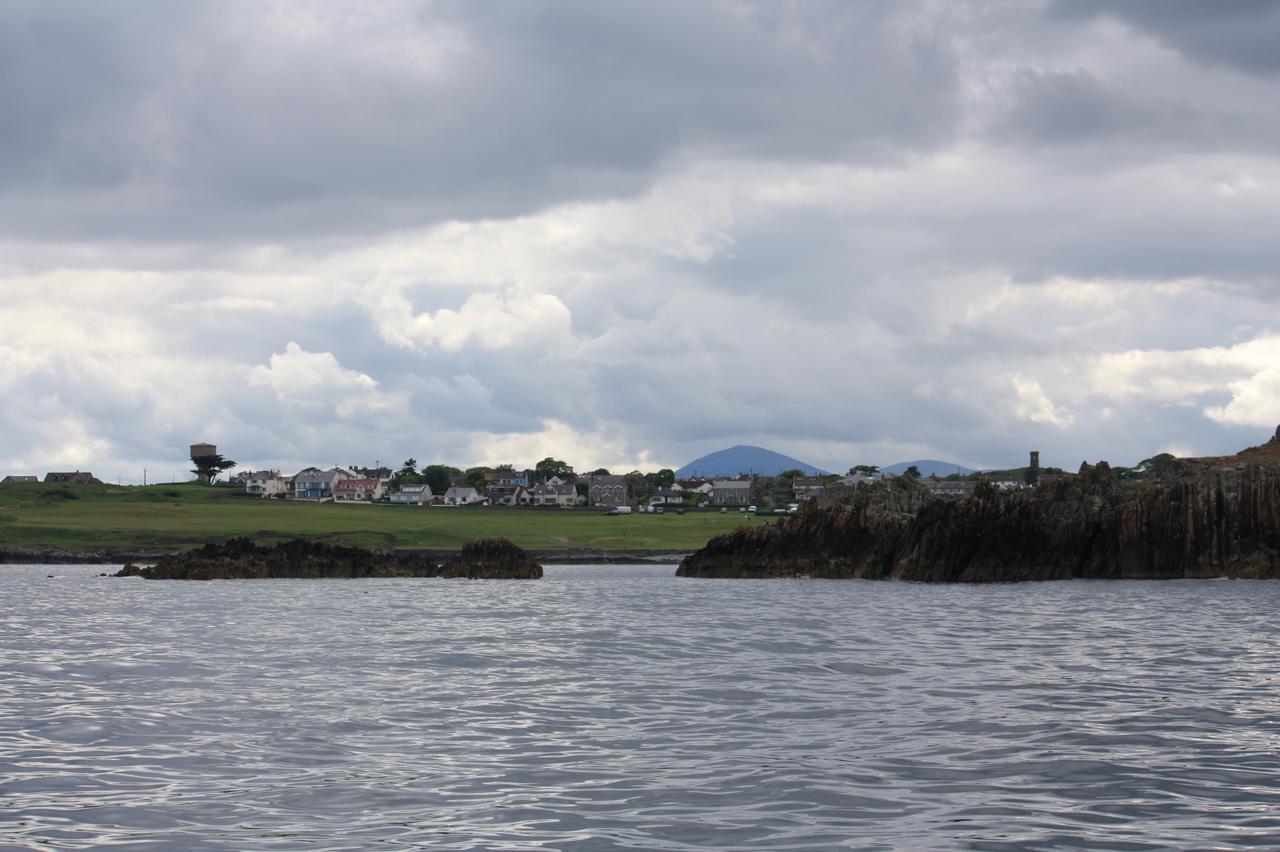 Ringfad B&B Ardglass Eksteriør billede