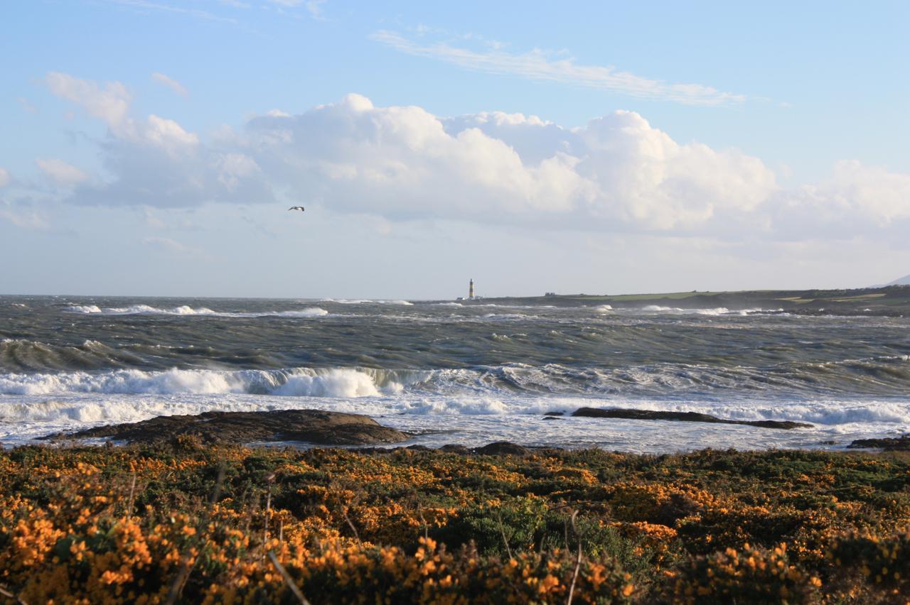 Ringfad B&B Ardglass Eksteriør billede